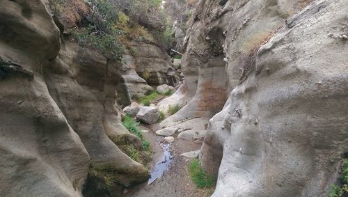 Topanga Canyon Trail
