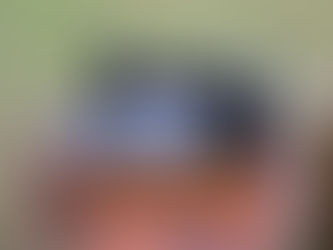 DIETRICH VESTA - 1880