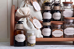 Medicinal Herbs
