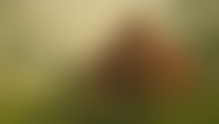 जैनत्व वेदना… जैनत्व संवेदना… Part 1