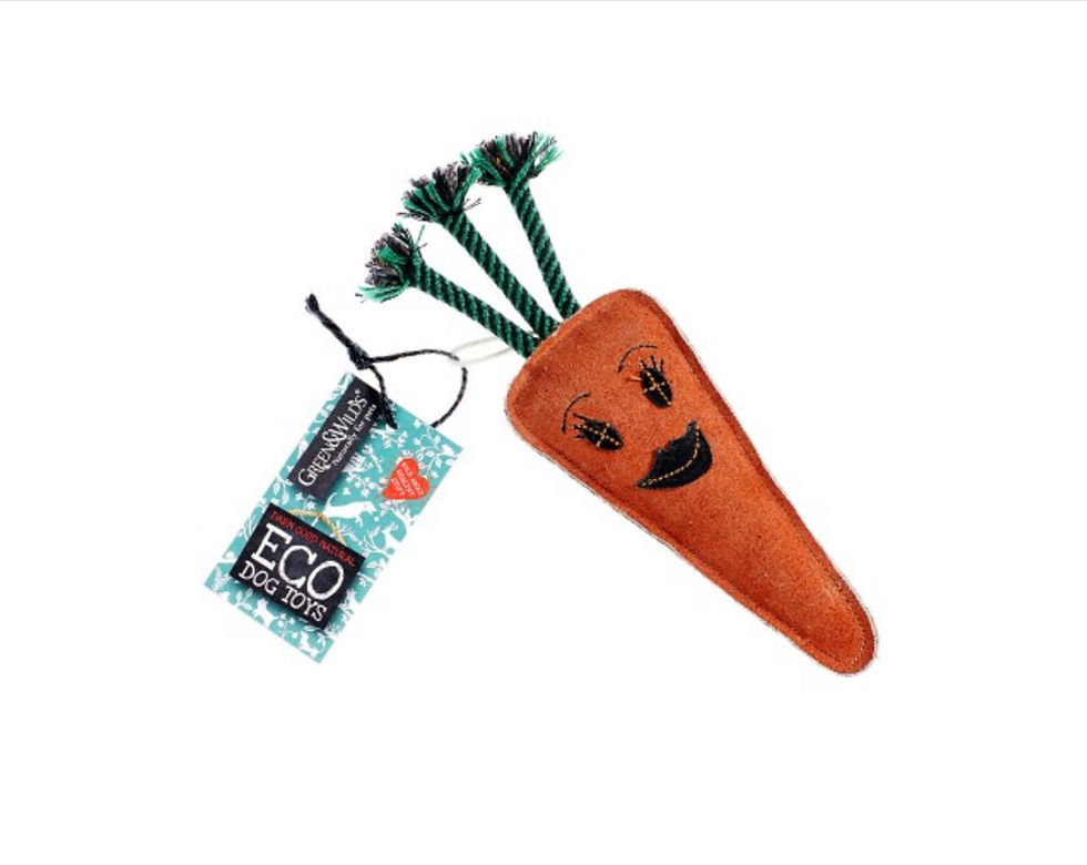 Green & Wilds Happy Dog Happy Planet ECO toy Candice the Carrot