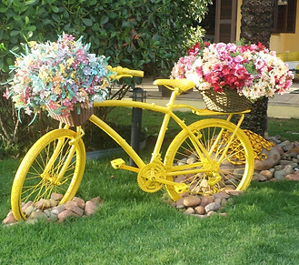 SAM_0026_edited_edited_edited.jpg