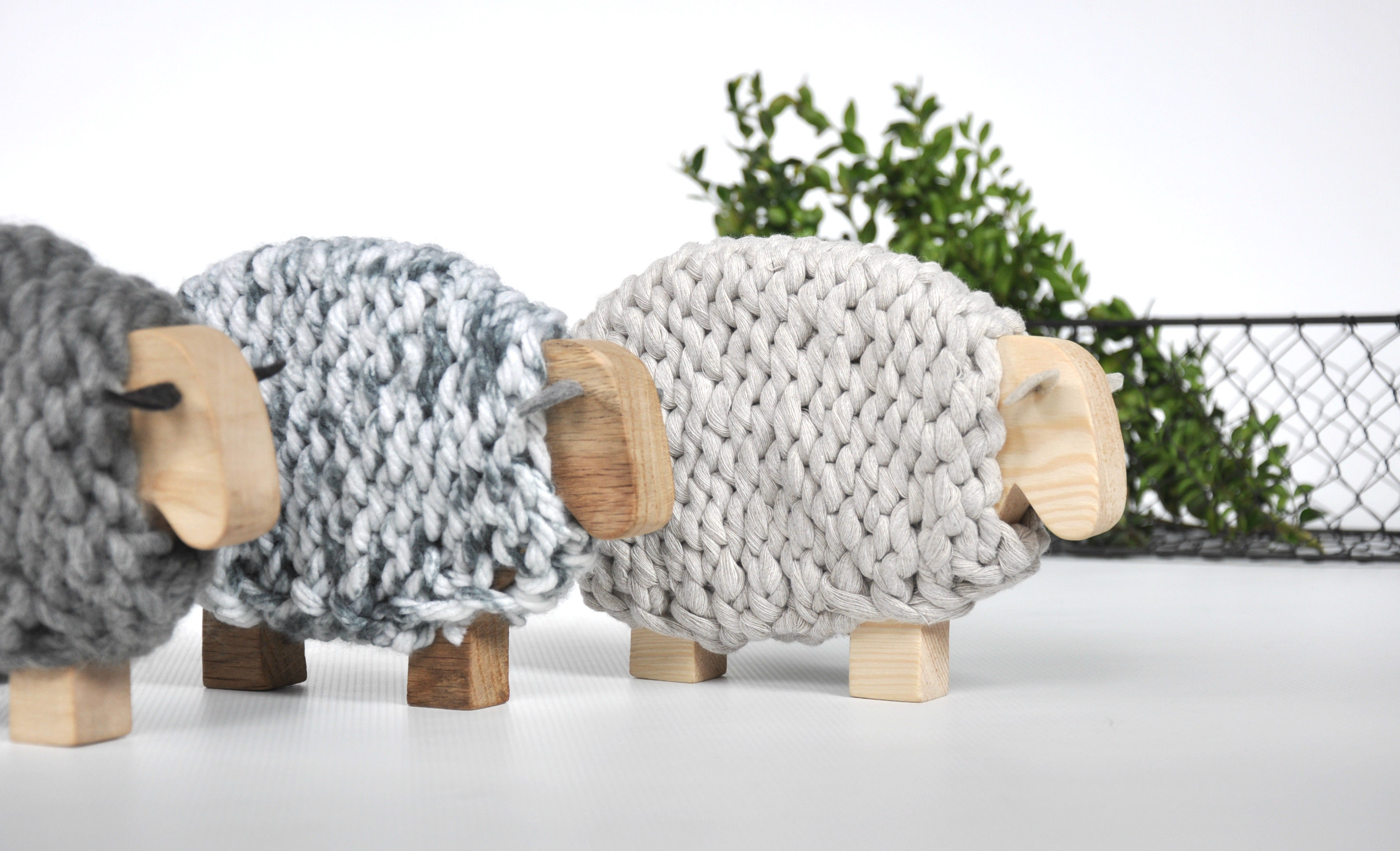 Merino - australijska owieczka - mała