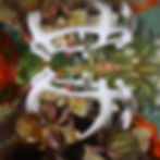 Submerged Garden 6312