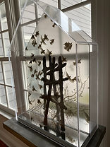IMG_5396.jpeg