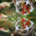 Submerged Garden 6189