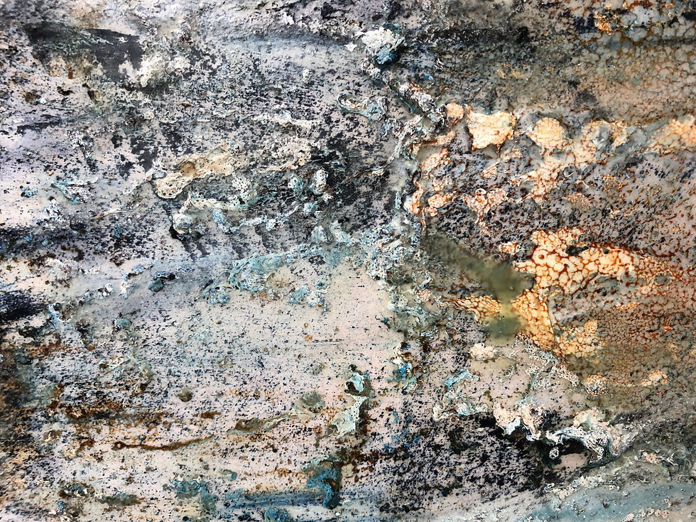 Detail, Deep Woods Blue Aspens