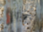 detail, Blue Haze