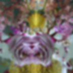 Submerged Garden 8987