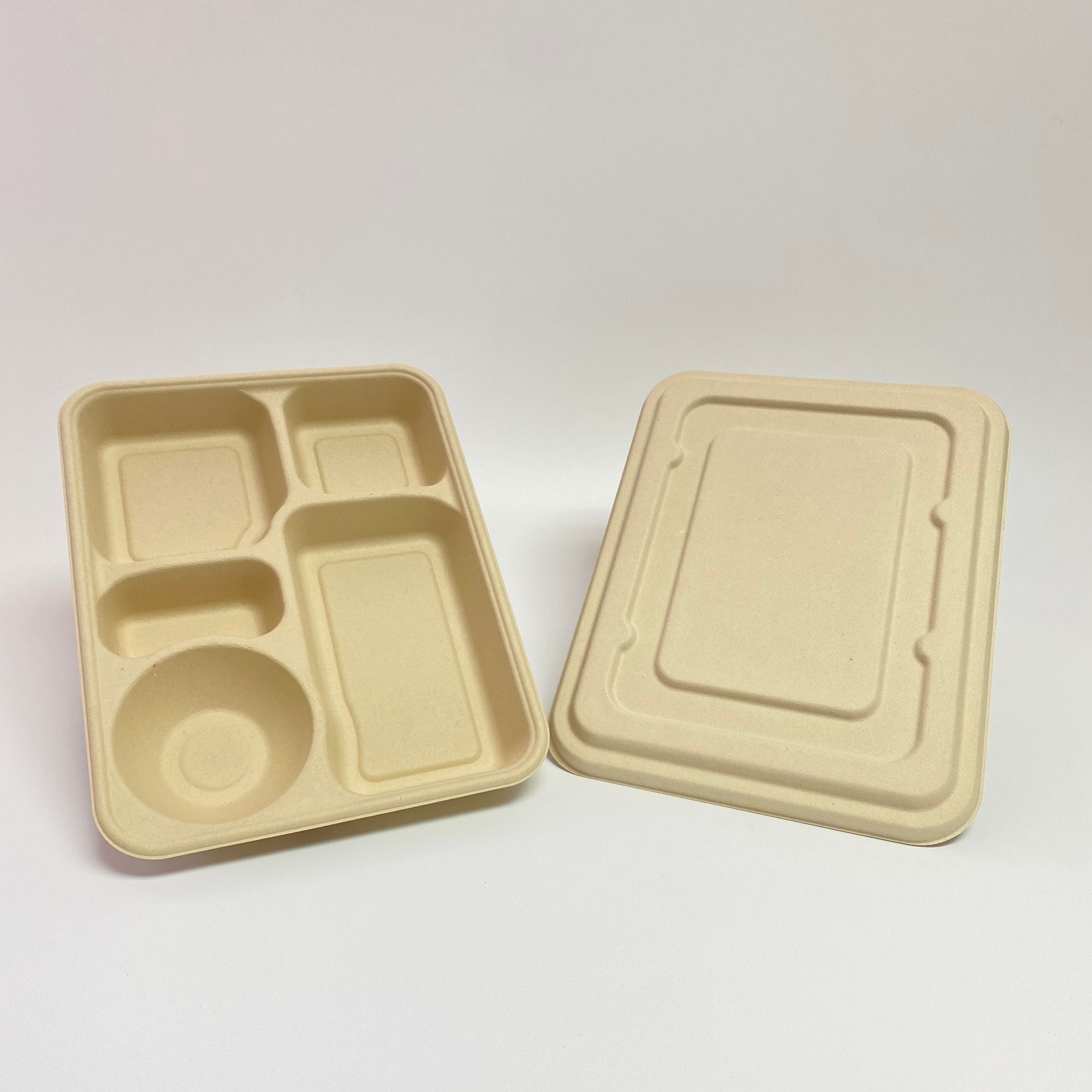 Eco Disposable Lunch Box 5 Partition with Lid