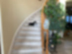 Before staircase