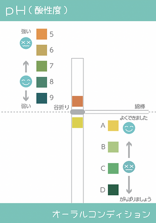 台紙2.png