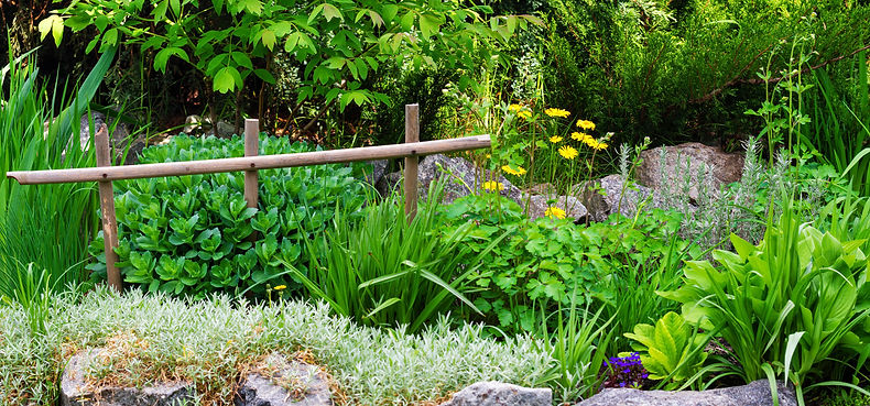 Jardinier paysagiste à saint-Malo, Dinard, Dinan