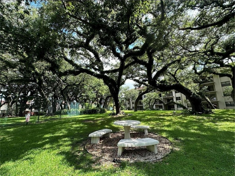 Summertree Village Condominium Cover