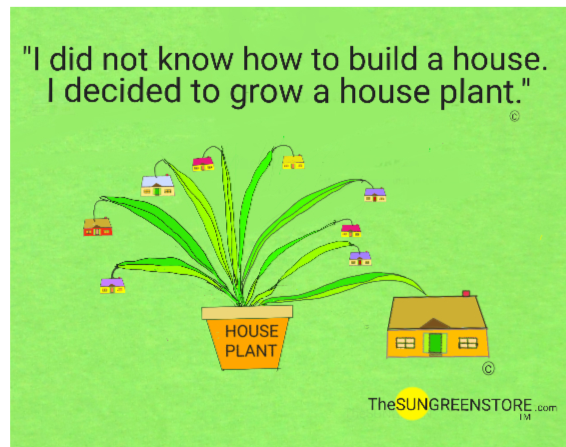 Thumbnail: I did not know how to build a house