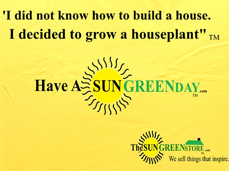 i did not know how to build i grew a houseplant  daisy web shirt large.jpeg