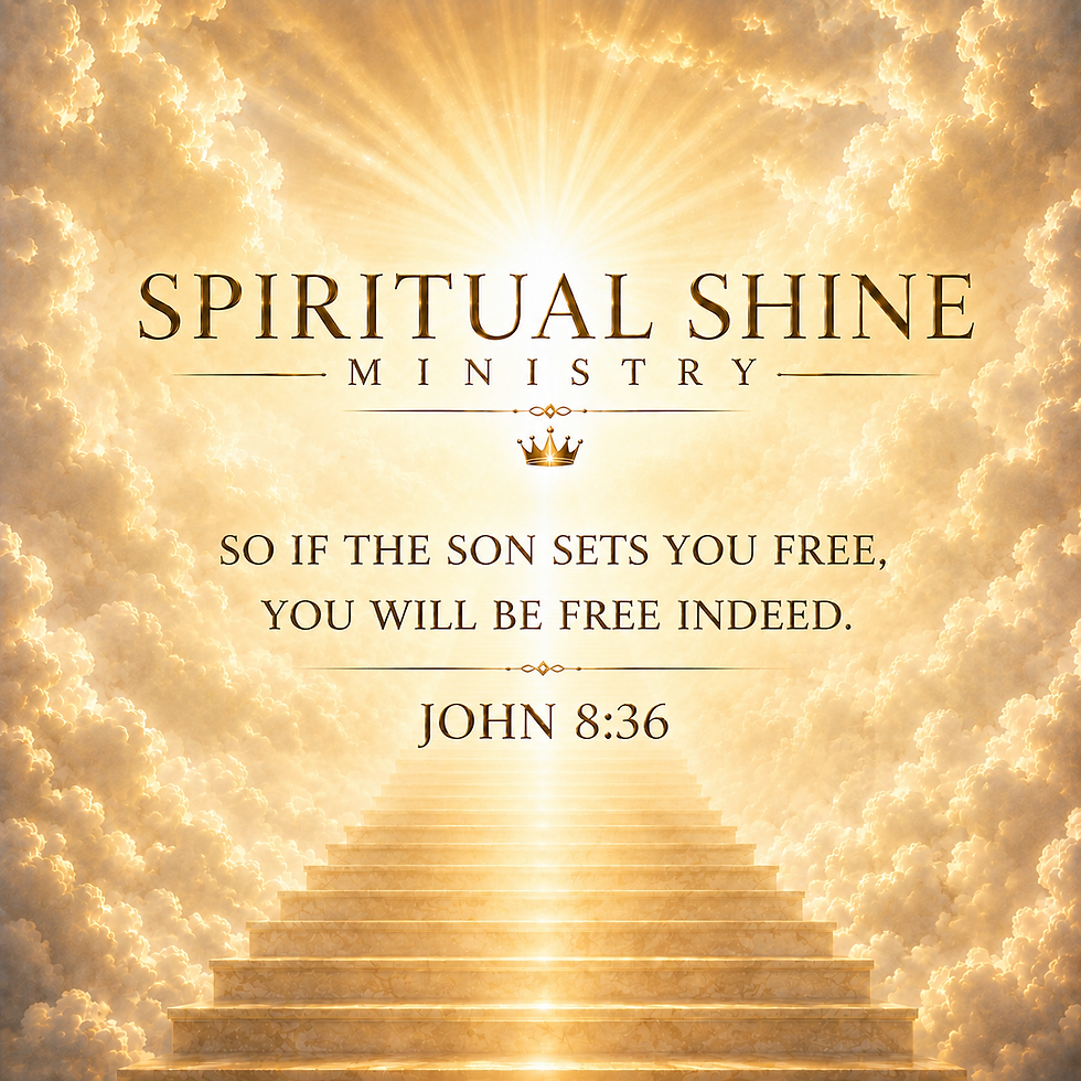 IMG_2561.png