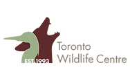 TWC.png