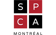 SCPAM.png