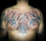 tiger