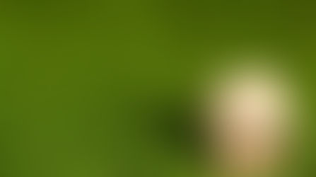 3 CARA PRAKTIS DEKORASI RUMAH INDAH DENGAN BIAYA MURAH