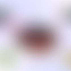 Smoothie in einer weissen Keramikschüssel mit Heidelbeeren und Himbeeren. 