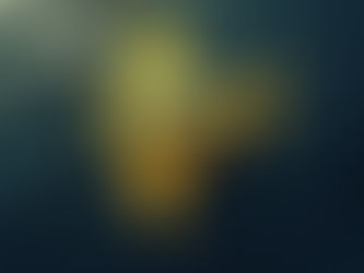 $135 Billion Sent Home by NRIs in FY24