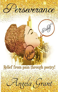 Perseverance Cover Amazon300600.jpg