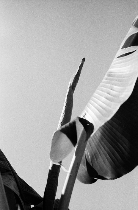to touch the sky