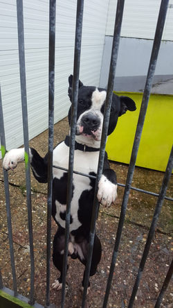 WhatsApp Image 2019-03-14 at 14.28.03