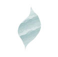 Website Build Assests 2-25.png