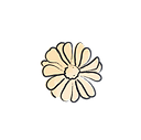 Website Build Assests_Ingredients-07.png