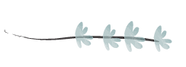 Website Build Assests_Ingredients-06.png