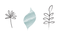 Botanical drawings about us-23.png