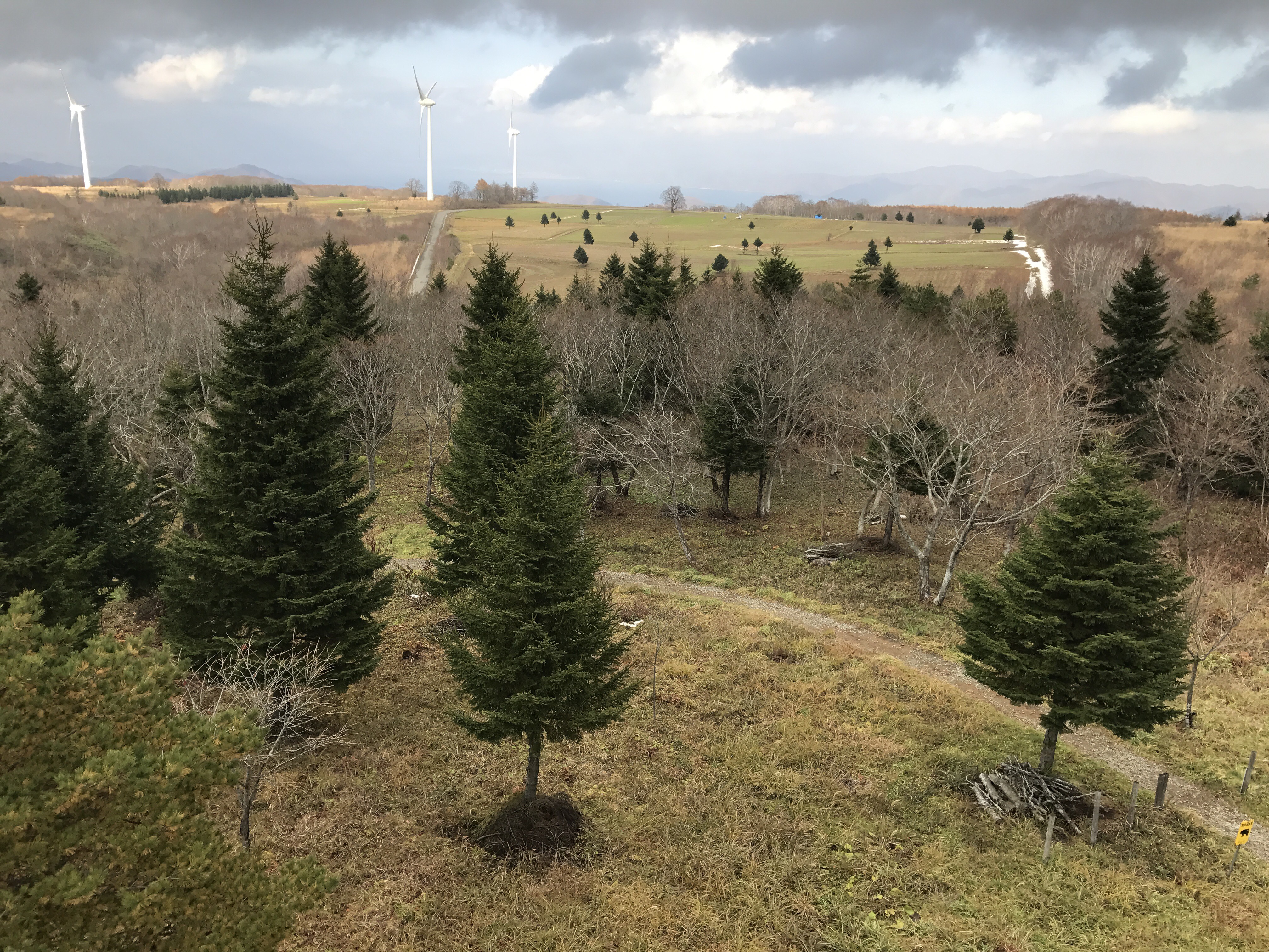 Nunobiki Heights 3