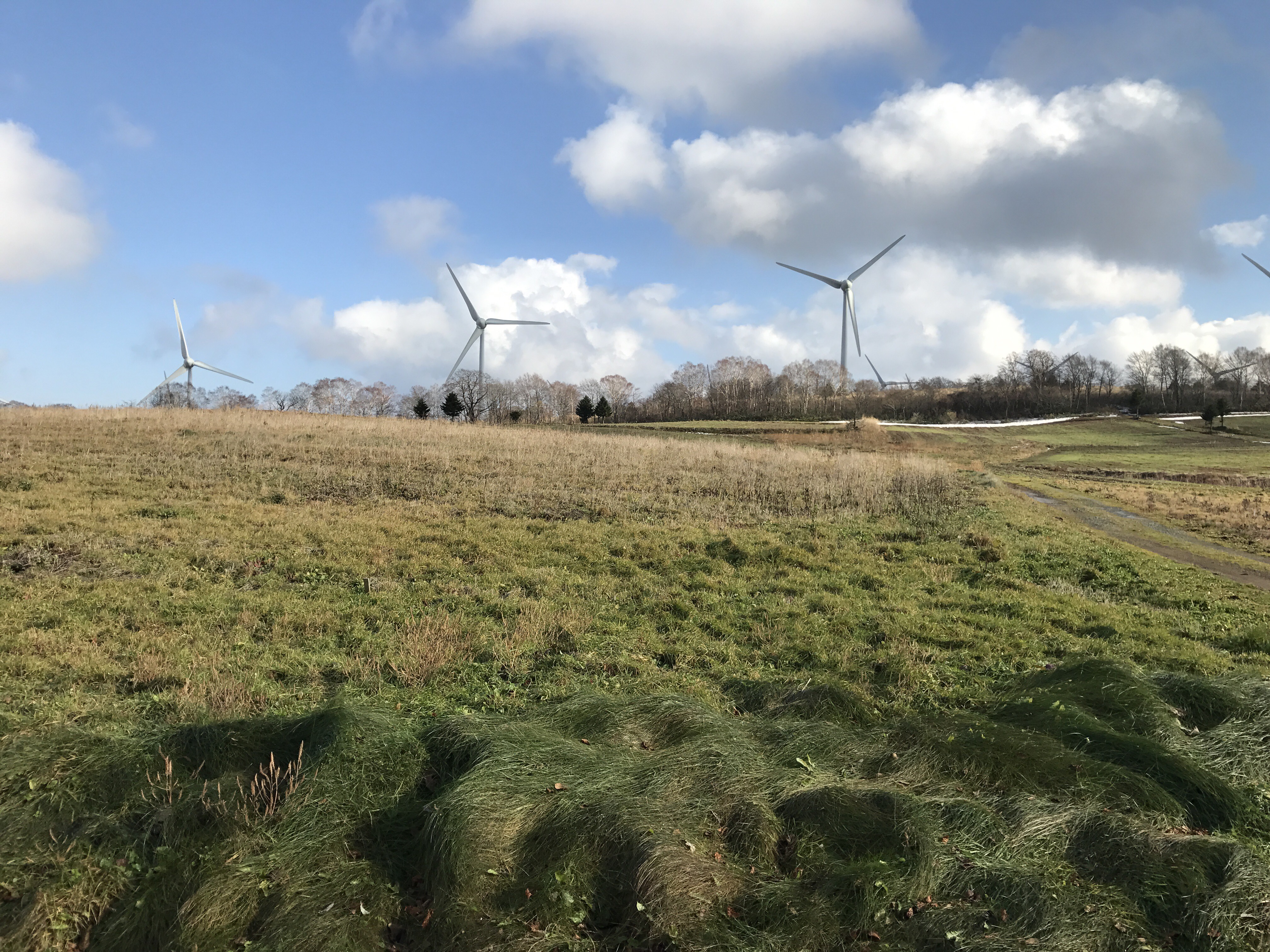 Nunobiki Heights & Wind turbines