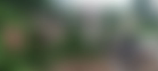 Yukon Court of Appeal Upholds Nuisance Claim Against A Much Needed Dog Shelter