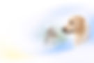 Design ohne Titel(13)_edited.jpg