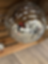 20240323_125714740_iOS.heic