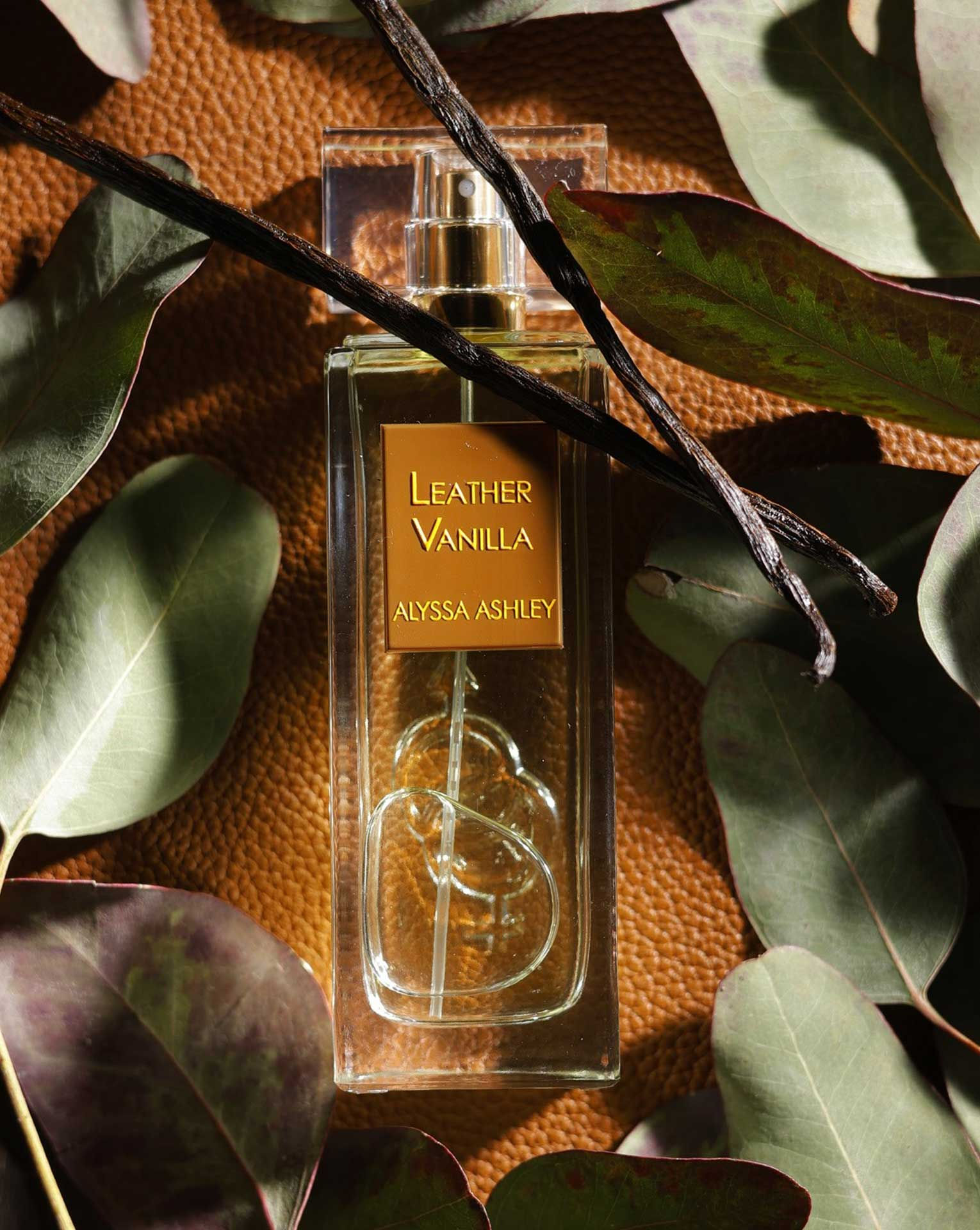 Leather Vanilla