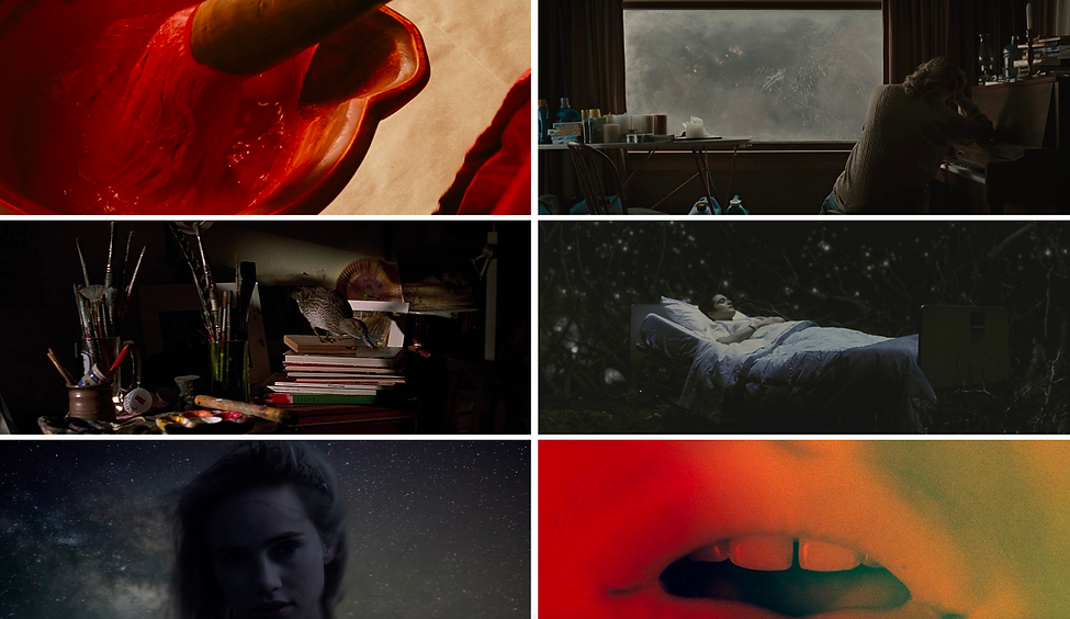 Screenshot 2022-09-15 at 11.41.12.png