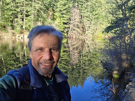 Hair today, gone today