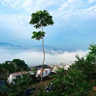 台中東勢露營區環境 雲海景色