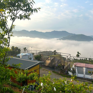 台中露營區自然環境 綠意山林