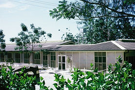 F1010041.JPG