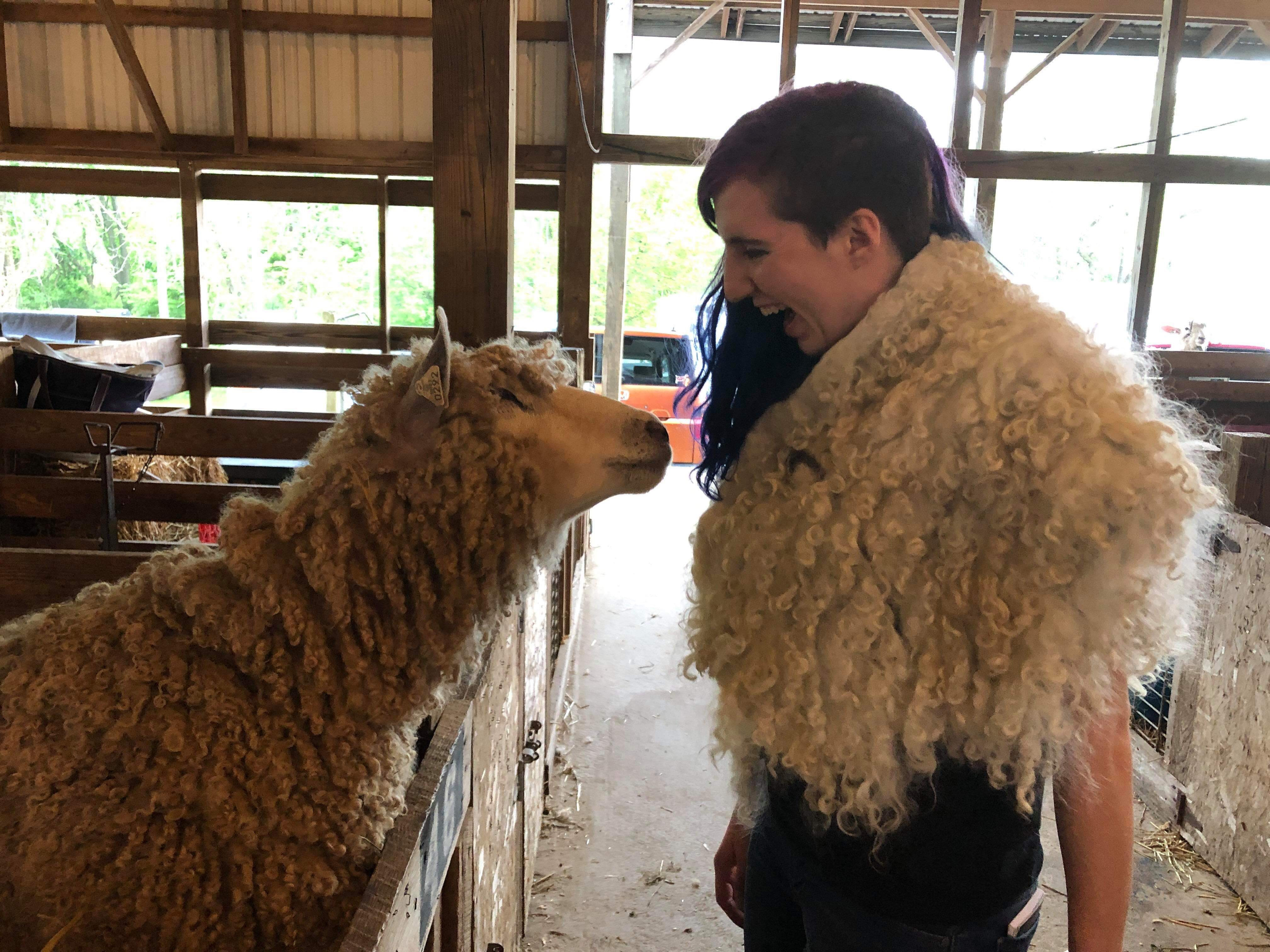 Sheep's Clothing Cloak - Variable Price