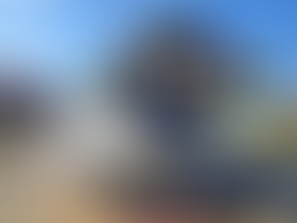 5 More Top Experiences at Universal Orlando Resort