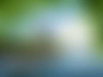 River Cruising in Europe: A Love Story on the Water