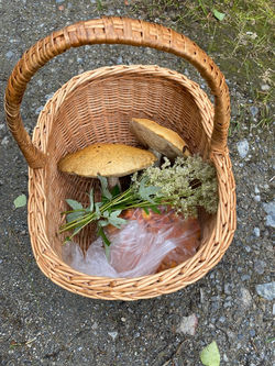 DEE6F93B-1804-4B42-8B63-3E9634434EFD_1_105_c