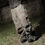 Thumbnail: CAMO CREST CARGOS